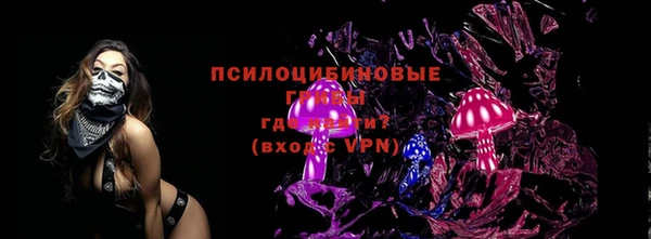молекула духа Бронницы