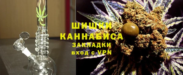 молекула духа Бронницы