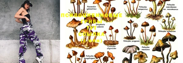 марки nbome Майский